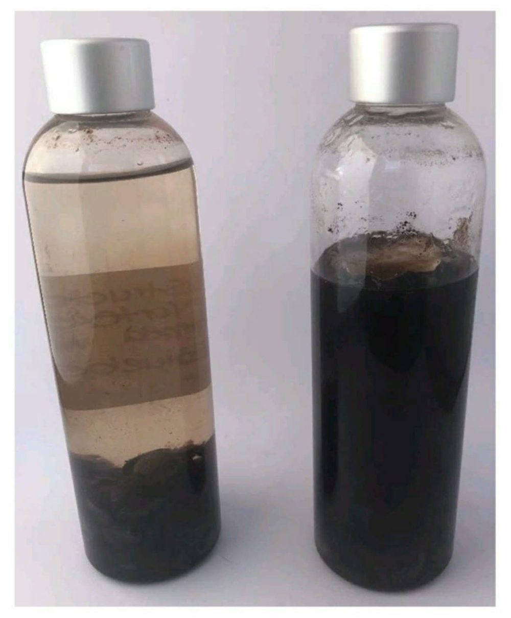 Test avec des baies : bouteille d'eau traitée par MEA versus eau non traitée